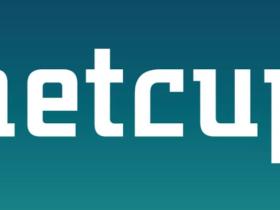 关于netcup最新每月集体帐单生成规则的详解说明及PUSH转移需要注意的事项