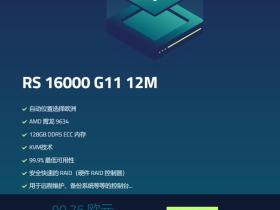 性能超过Hetzner 7950X3D独服 史上最强大的VPS虚拟服务器Netcup RS16000测评
